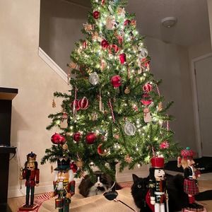 Meet your Posher, Pam